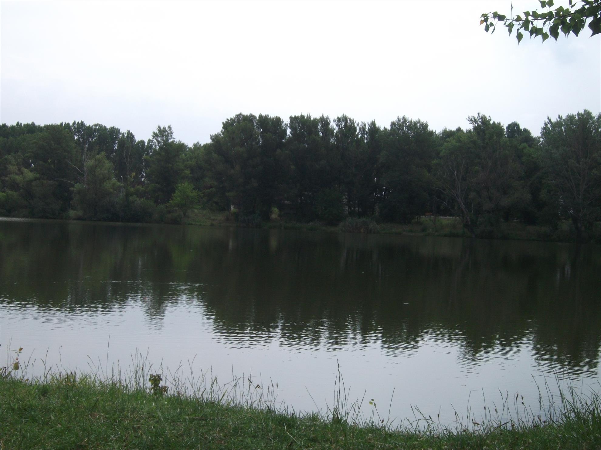 multe poze... - dscf3494.jpg